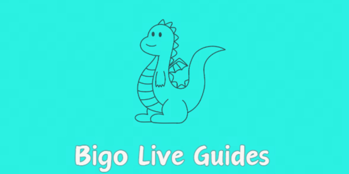 Bigo Live Gala 2022 – Event Highlights & Celebration