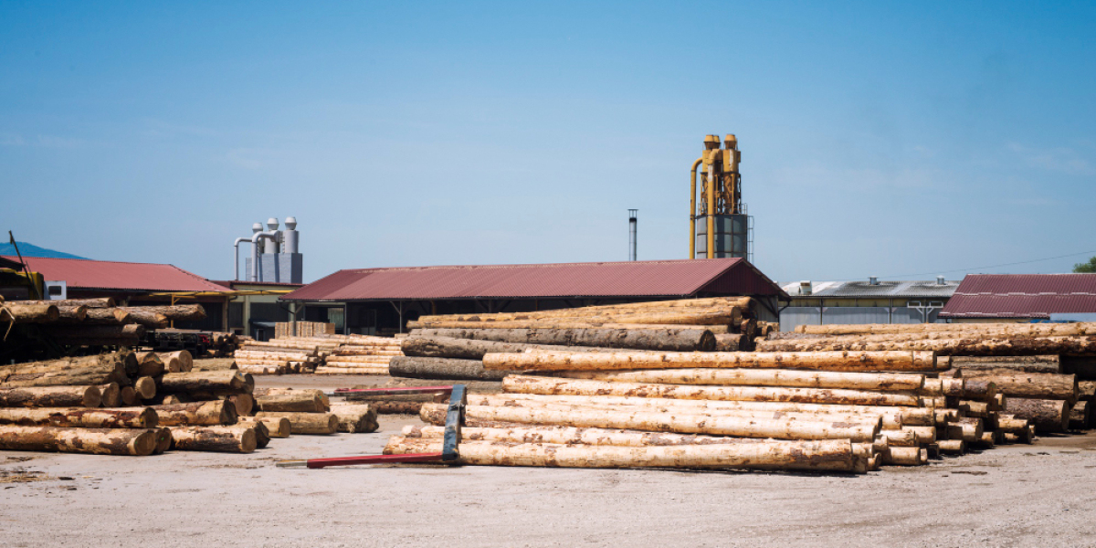 sustainable woodland management