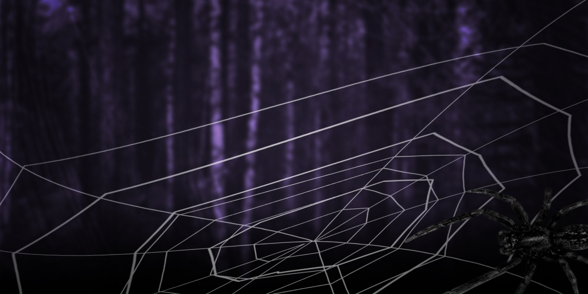 The Economics of International Private Jet Travel: Analyzing Prices And Implications