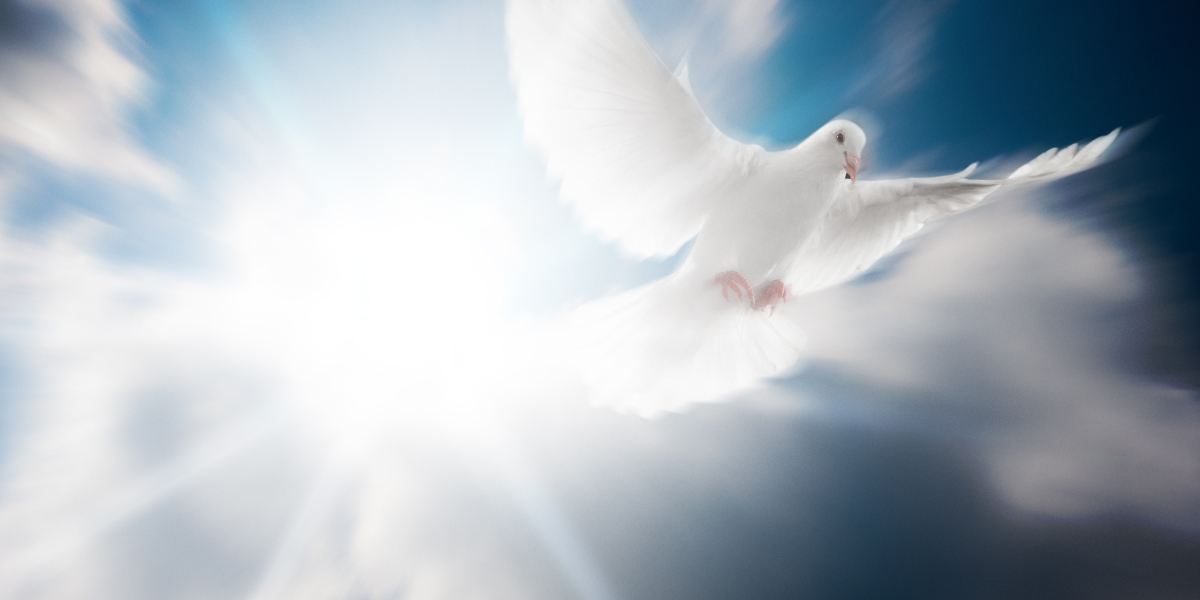 One of the Best Treatments For Erectile Dysfunction: A Complete Information