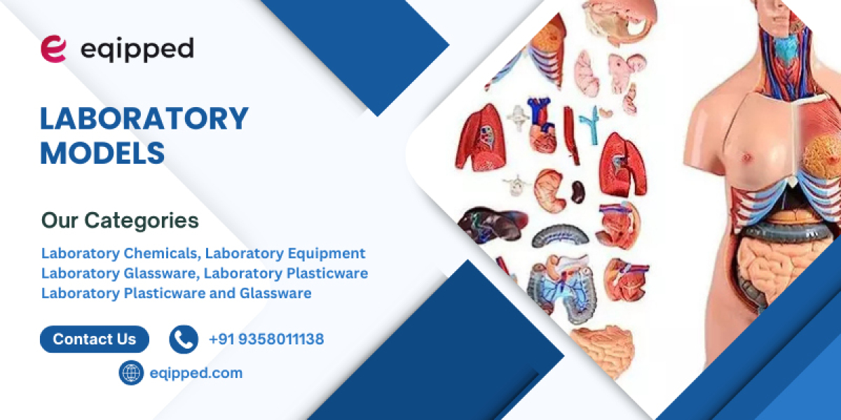 Laboratory Models – Essential Learning Aids for Every Science Lab
