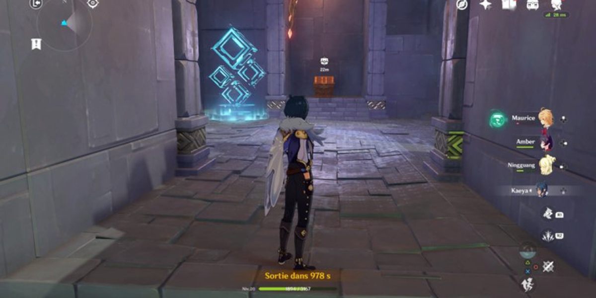 Coffres Genshin Impact : Types et Conseils [Guide]