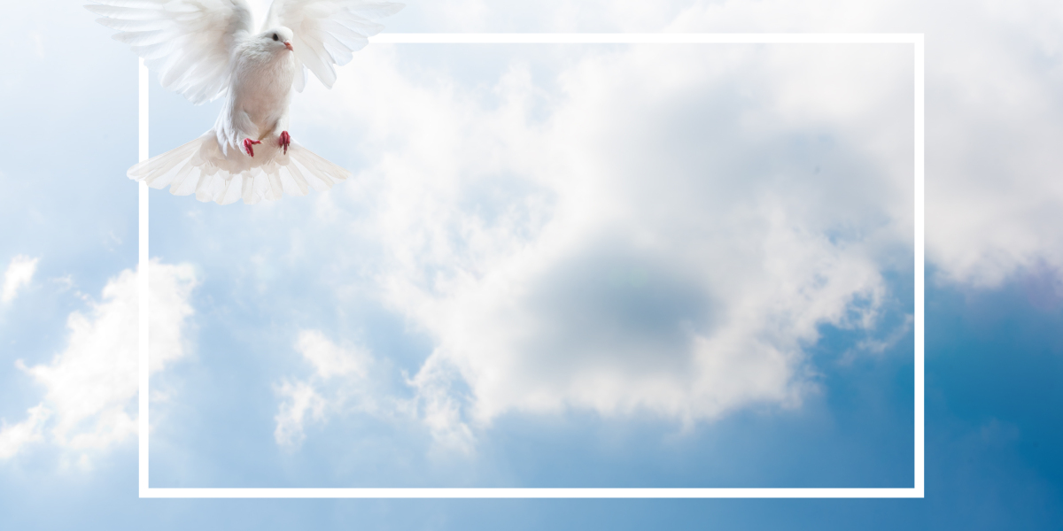 Understanding Payday Loans No Credit Check Online: A Comprehensive Guide