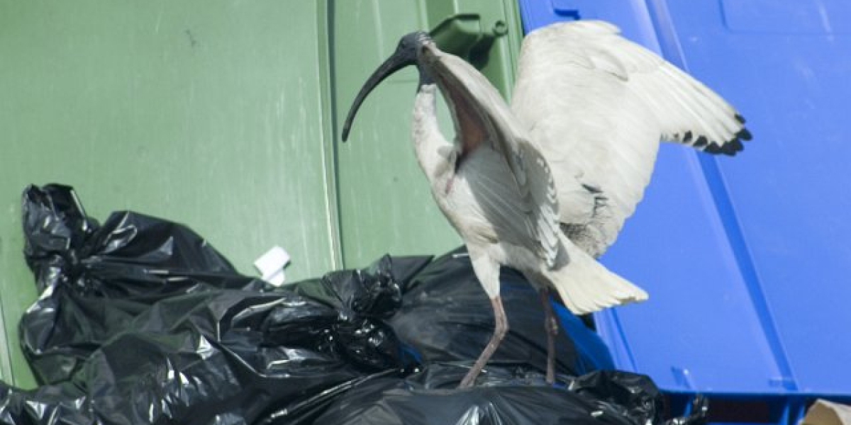 The Heart Of The Internet