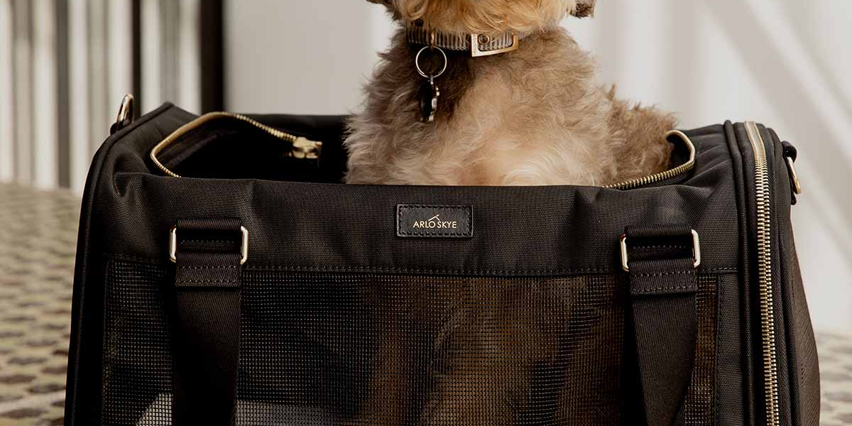 Modern Mobility: The Smart Choice of a Small Dog Carrier Purse for UK Pet Owners