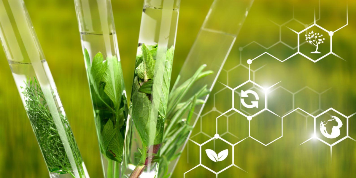 SUSTAINABLE AGROCHEMICALS Market Forecast 2030: Key Players & Emerging Trends