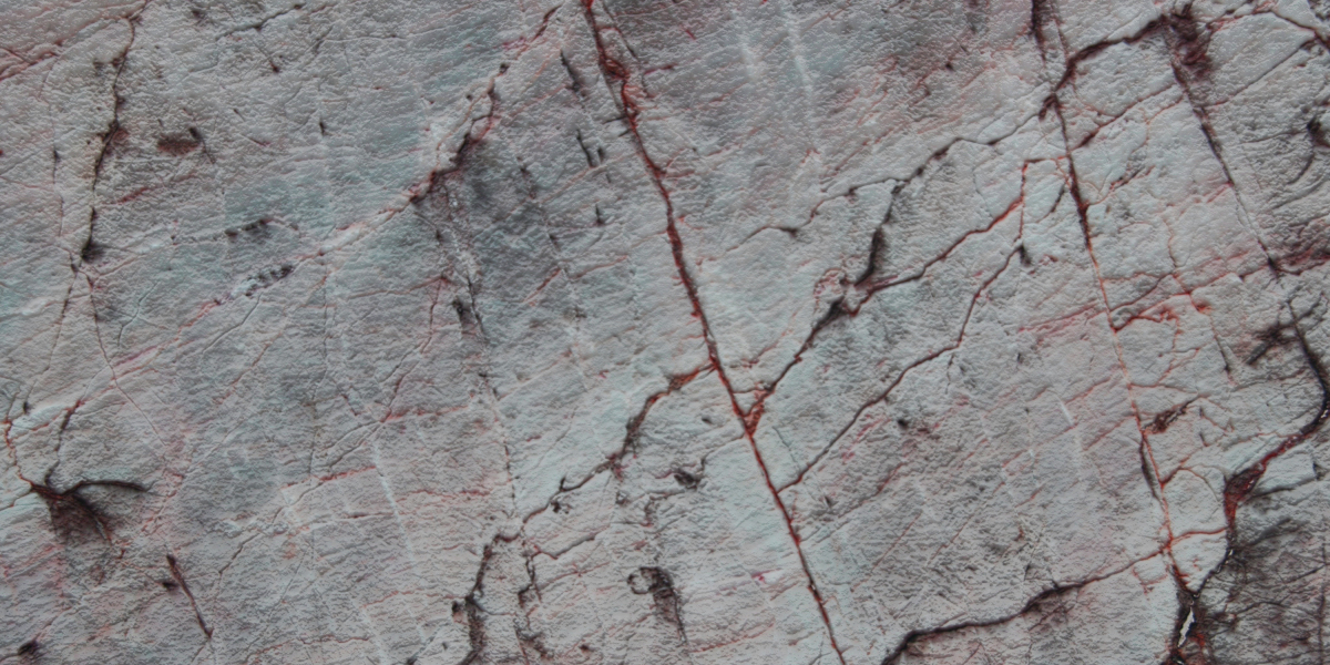 Exploring Airplane Charter Providers Near You: A Complete Guide