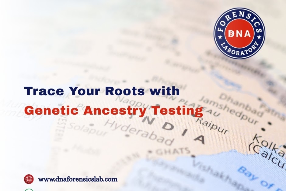 How Ancestry DNA Test Can Reveal Your Ancestral Roots