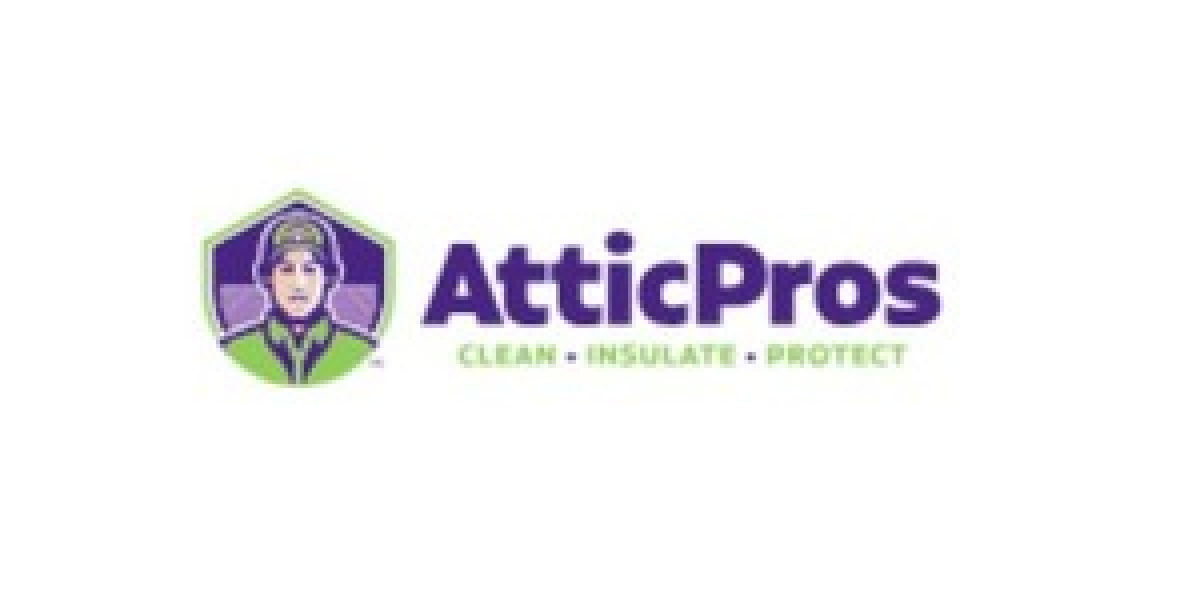 Attic Rodent Removal Bay Area: Protect Your Home from Hidden Invaders
