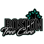 boston tree care