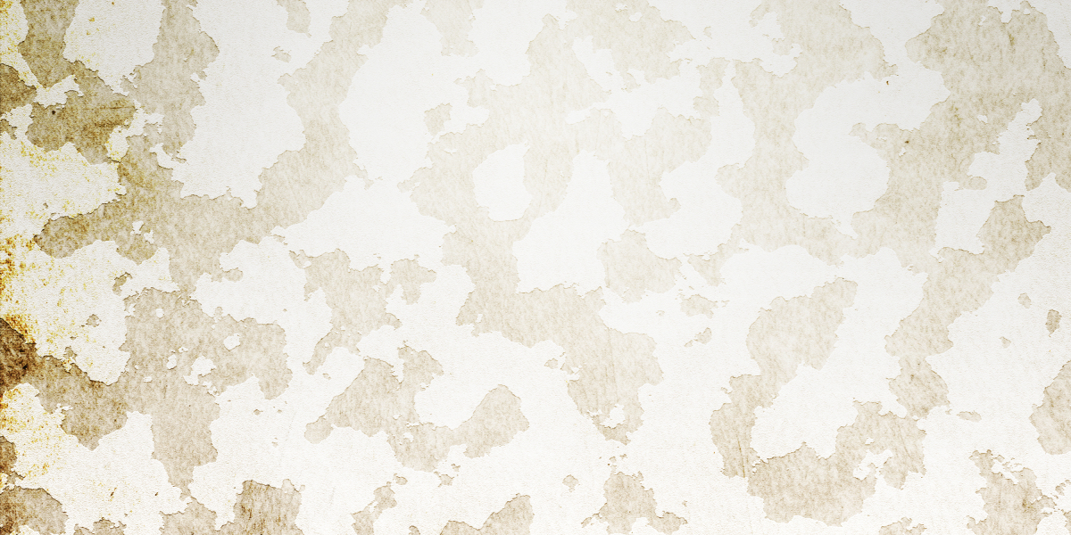 Modafinil Mail Order: A Comprehensive Study Report