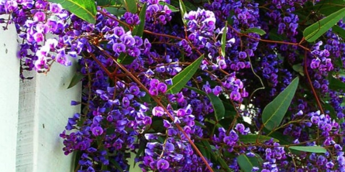 Creating Beautiful and Functional Outdoor Spaces with Vertical Gardening