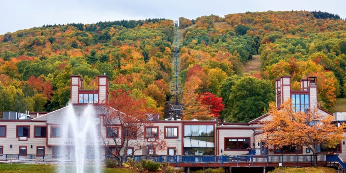 Rochester Property Listings: The Ultimate Guide to Finding Homes for Sale in Rochester