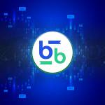 Bitbse Exchange