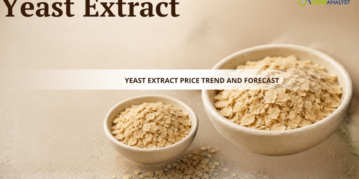 Yeast Extract Price Trend, Chart, News, Index, Demand, and Forecast 2026