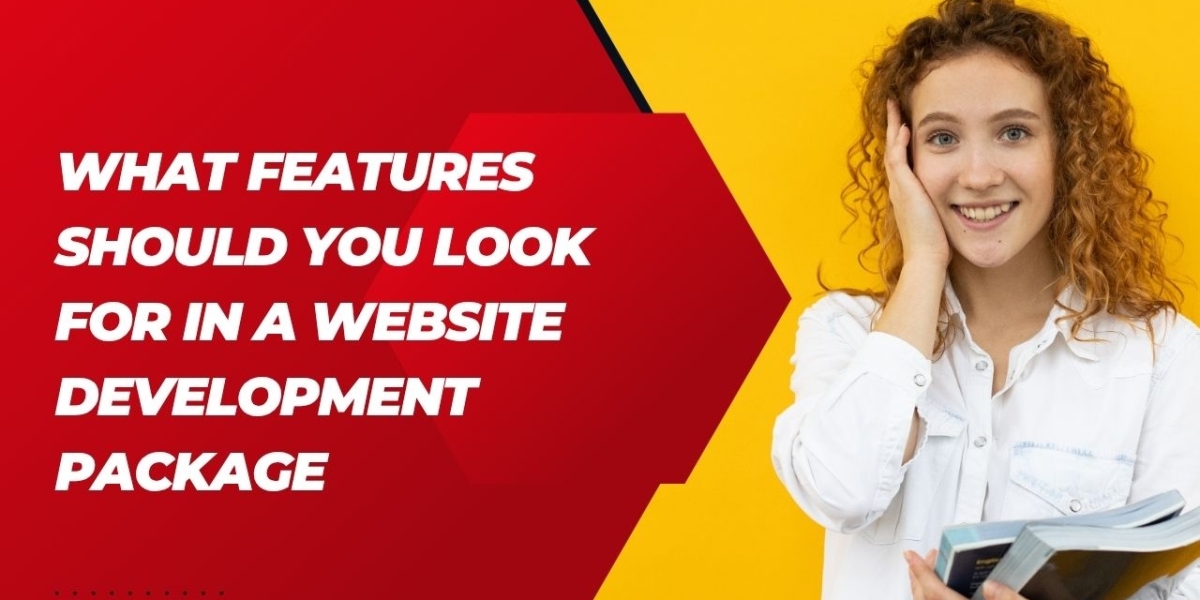 What Features Should You Look for in a Website Development Package