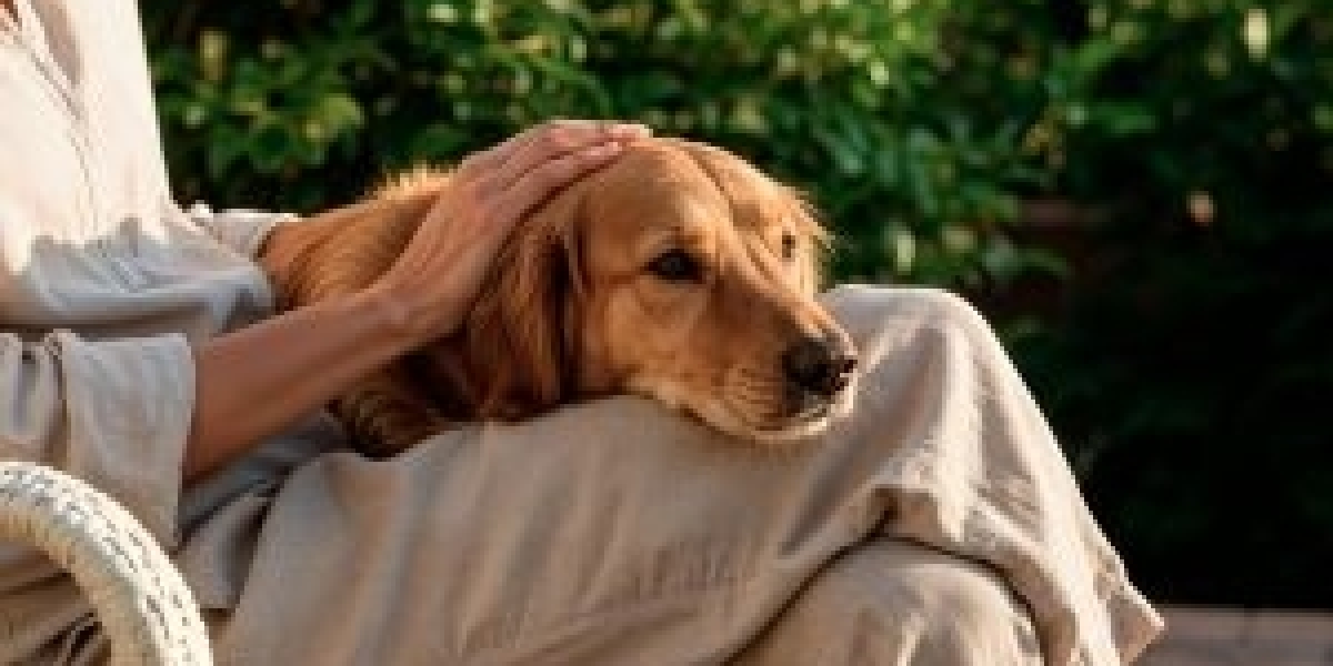 What Happens During Dog Euthanasia?