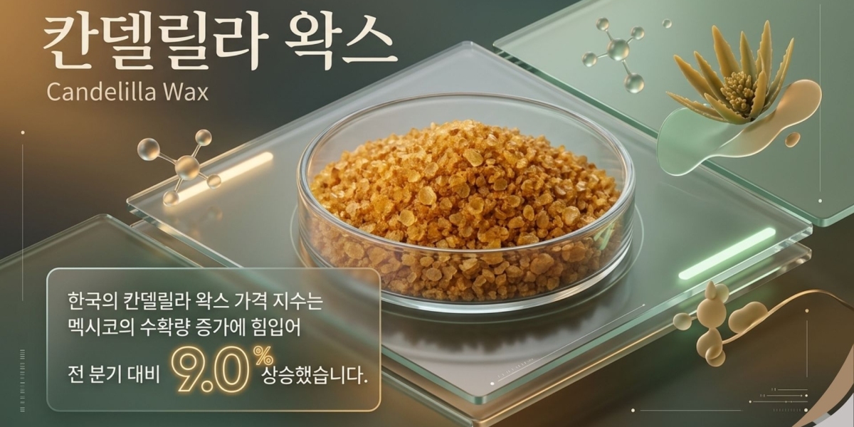 칸델릴라 왁스 (Candelilla Wax)가격 동향: 산업 성장, 공급망 및 시장 전망