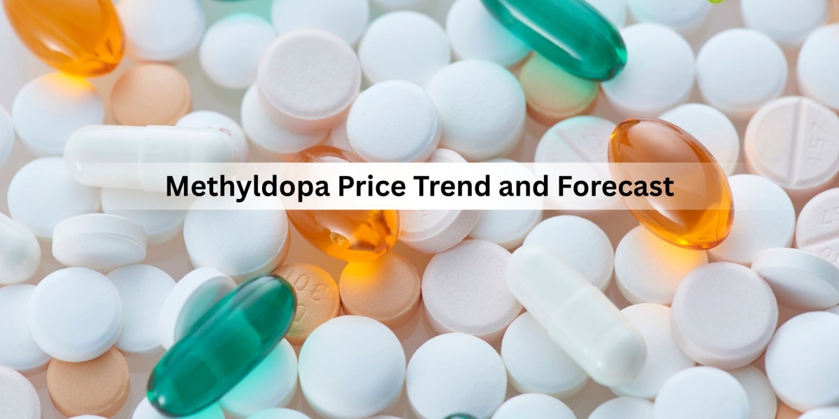 Methyldopa Prices 2026: Market News, Trends, and Demand