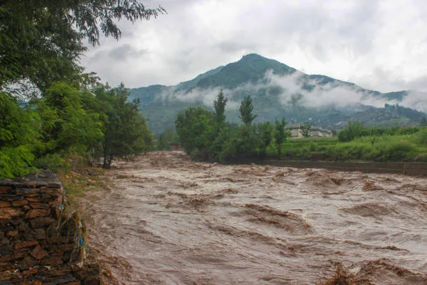 Avacam provides devices for remote flood monitoring.