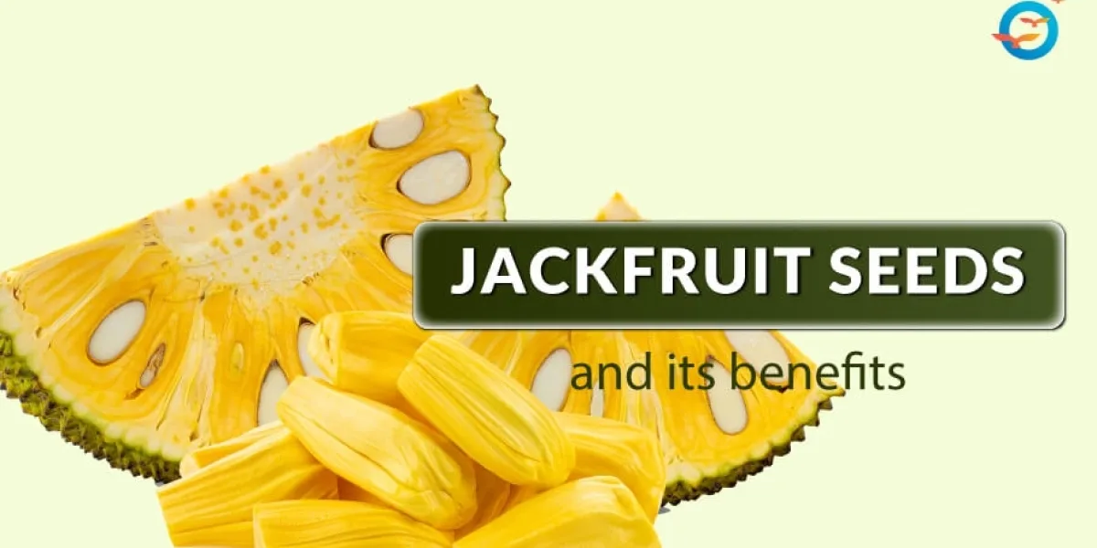 Benefits of Jackfruit Seeds in Diabetes Control