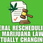 ohiomarijuana card