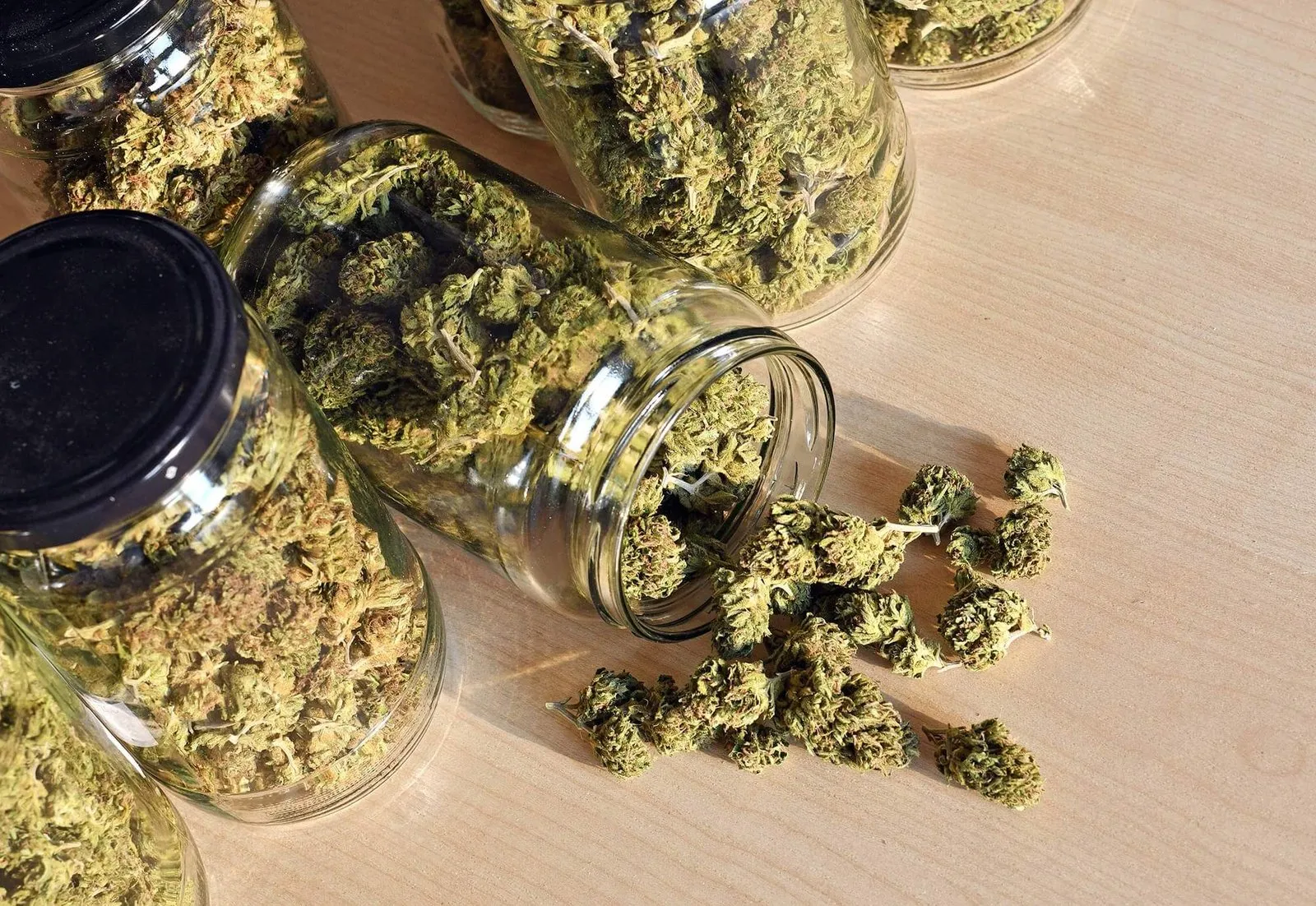 Affordable Cannabis and Weed Delivery in Scarborough - Grabbakush