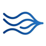 Cohessra INC