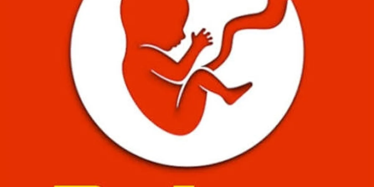 Live a Thousand Lives: How to Master the Chaos of BitLife