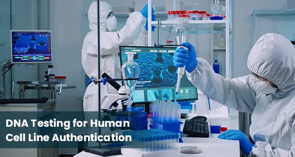 Cell Line Authentication DNA Test in India | STR DNA Profiling