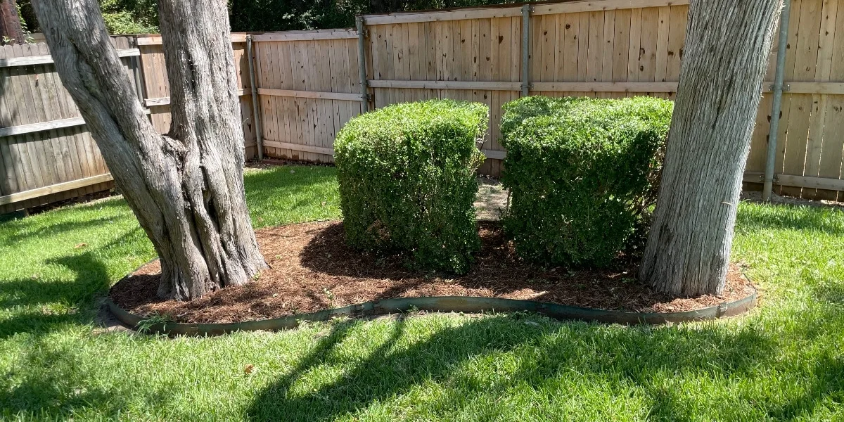 Texterra Lawn & Landscaping LLC: Reliable Lawn Care Services in Flower Mound TX