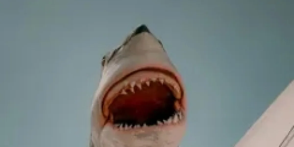 Razor shark