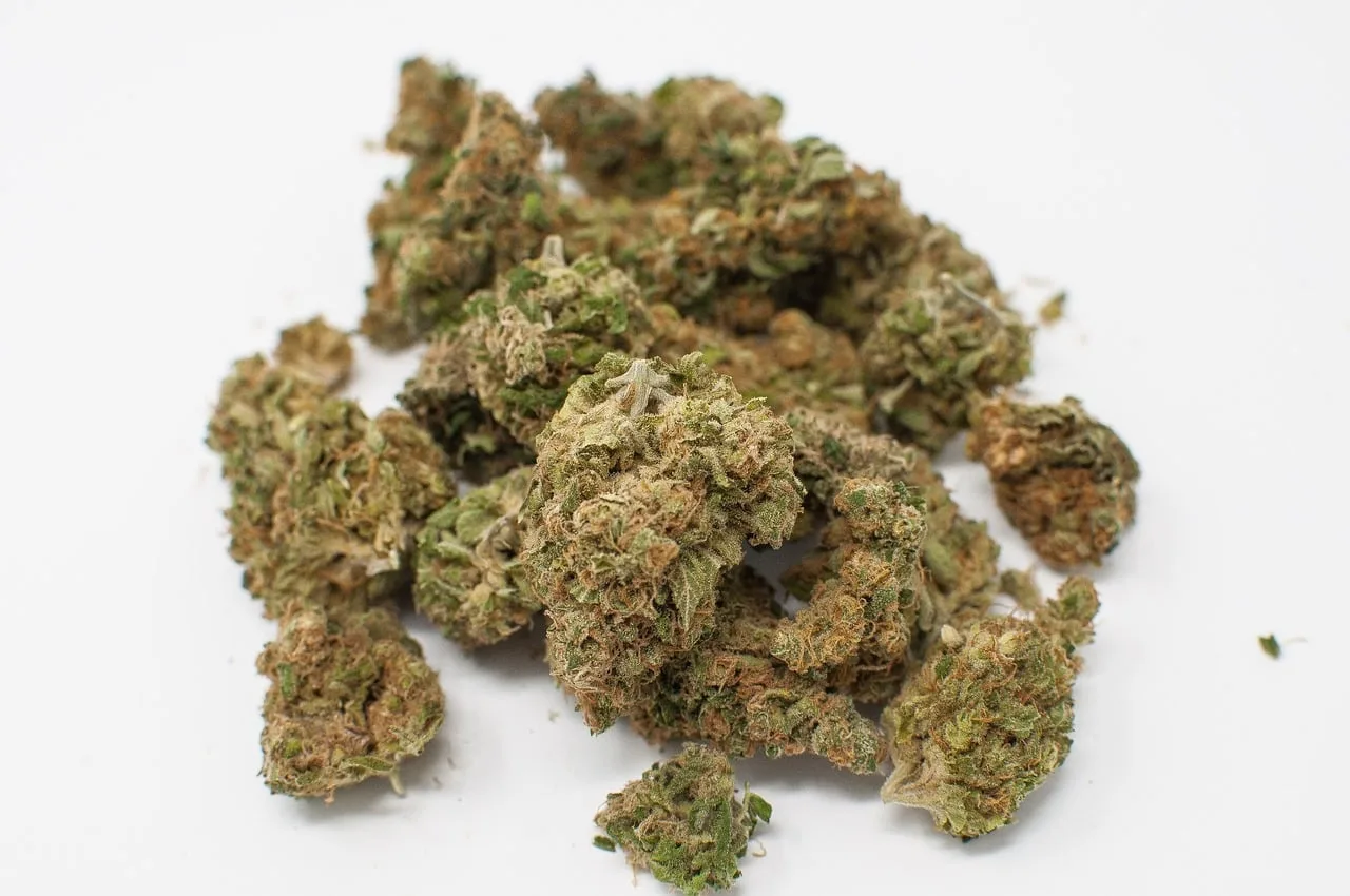 Buy Weed Online Prince Edward Island | Online Dispensary - Canna Club Co.