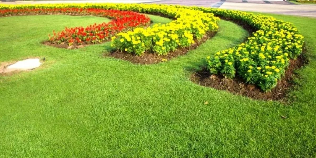 Professional Paver Installation for Better Outdoor Spaces