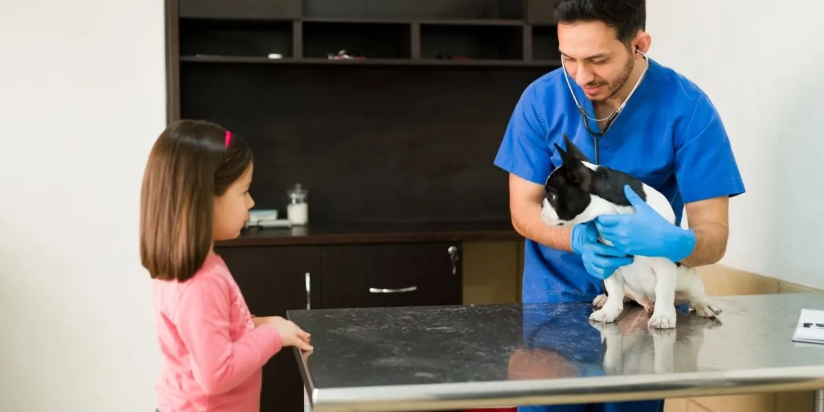 Choosing a Veterinarian in Brooklyn for Your Pet