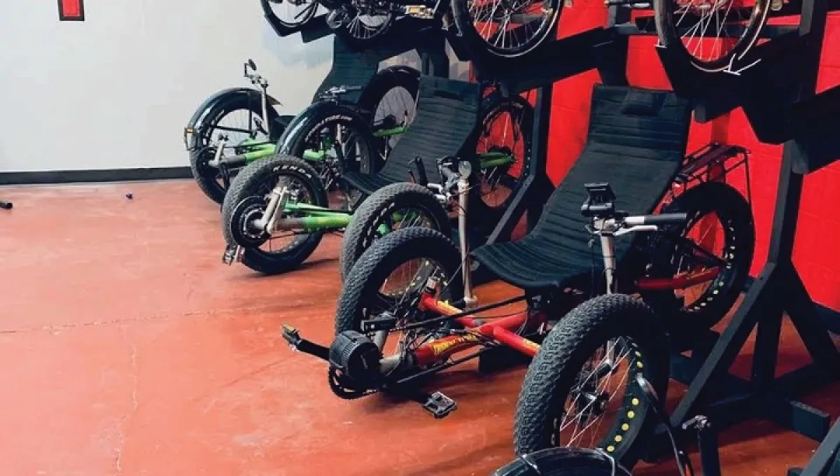 Myths Regarding Speed, Cornering Agility, and Handling Limitations on a 3 Wheel Electric Bike - My SEO Directory
