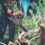 Tree Lopping Central Coast