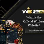 Winbuzz App
