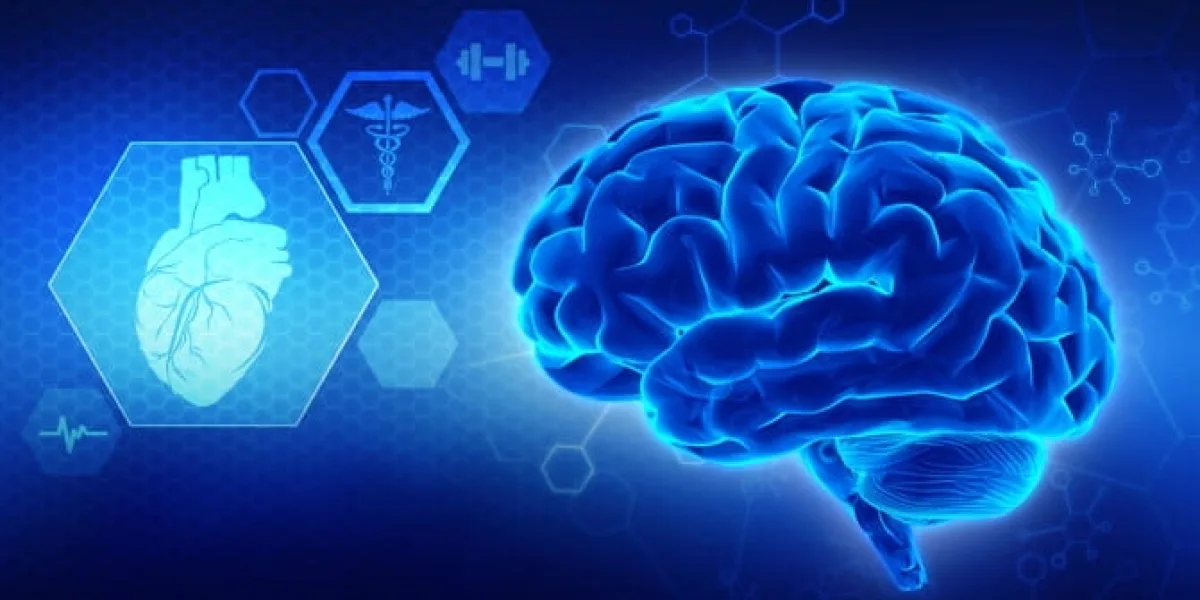 BrainLive Official Supplement for Memory, Focus & Cognitive Wellness