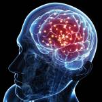 Neuro salt Official Website