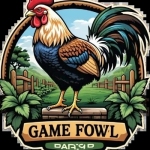 gamefowl sranch