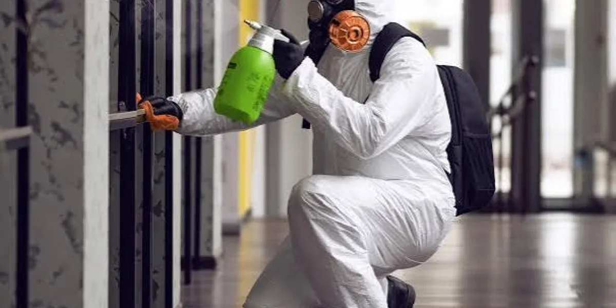How Humidity Affects Mold Growth on Basement Drywall