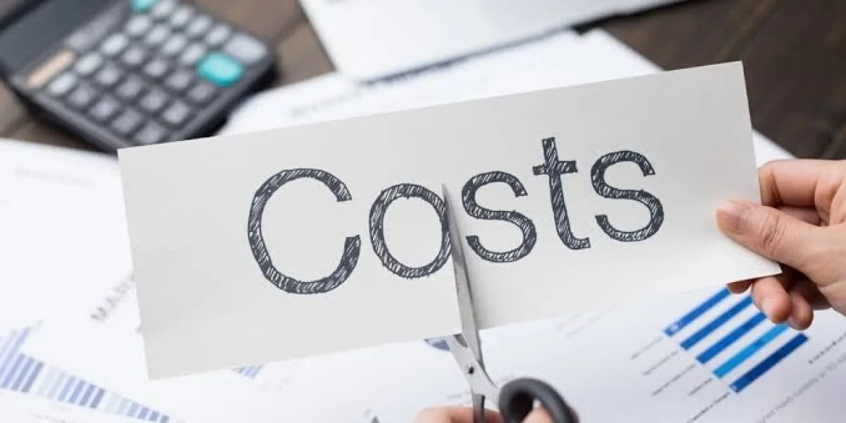 How Can Finance Help Reduce Business Costs