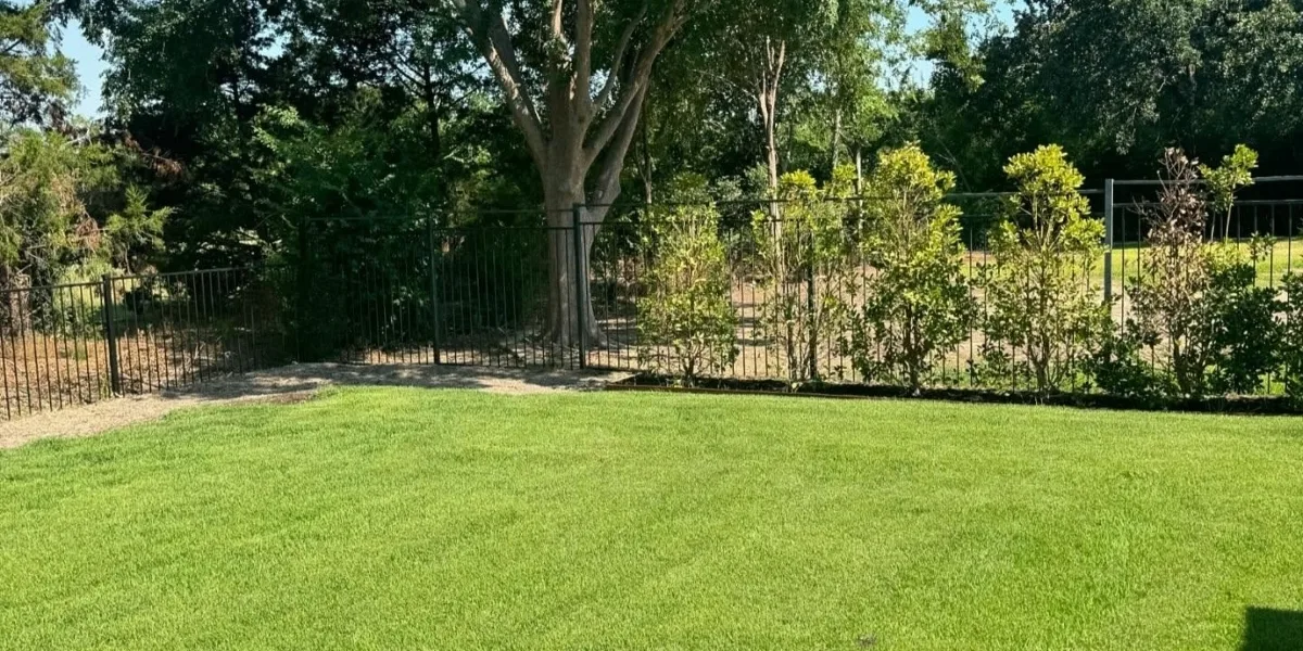 Sod Installation in Southlake TX: Transform Your Yard Into a Lush Green Lawn