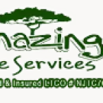 Amazing Service