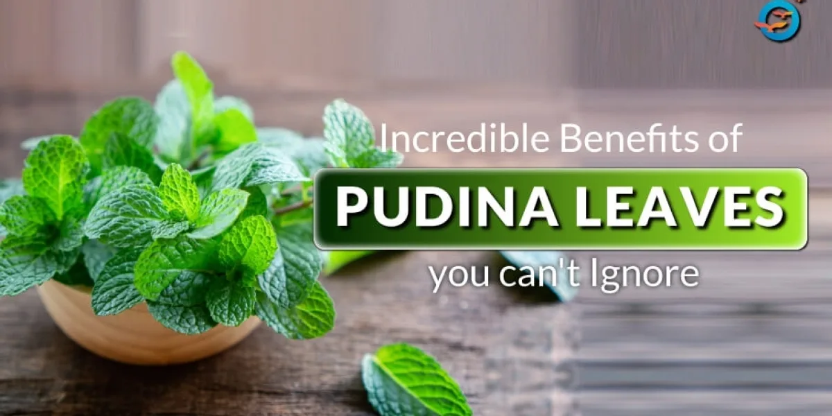 Health Benefits of Mint Leaves