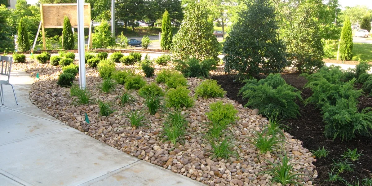 Enhance Your Outdoor Living Space with Expert Landscaping Design and Installation in San Antonio