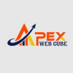 Apex Web Cube