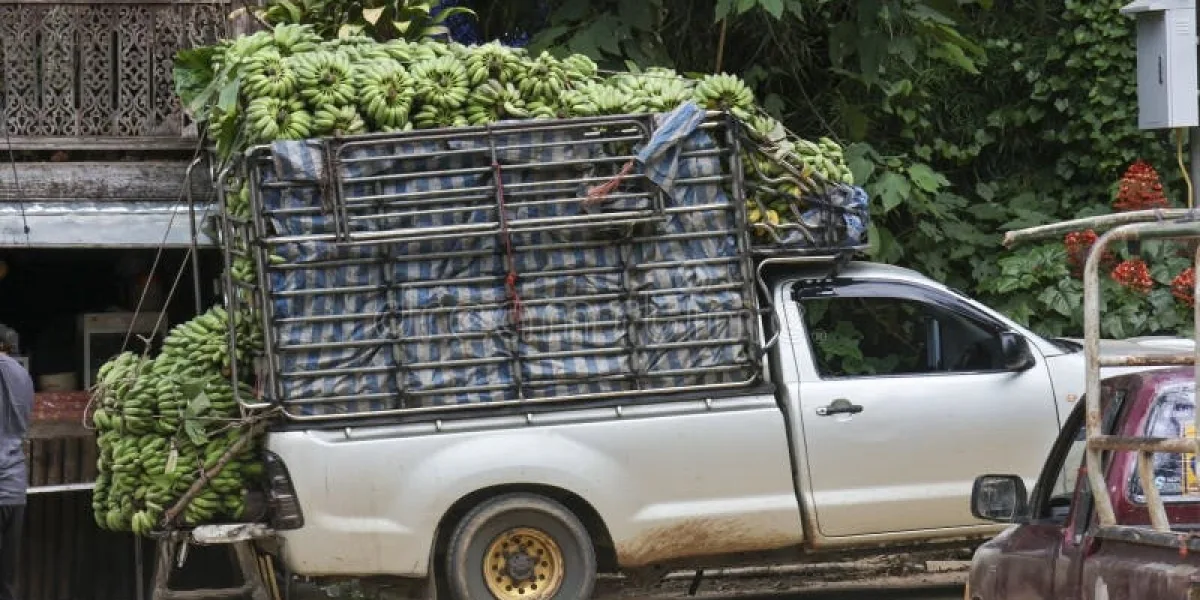 How Light Trucks Are Transforming Freight Transport in Southeast Asia