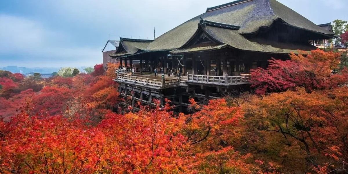 Kyoto Autumn Tour: Discover Japan’s Seasonal Beauty in Comfort